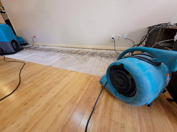 Professional Sewage Cleanup technician working in Glenoma, WA